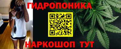 прущие крисы Тара