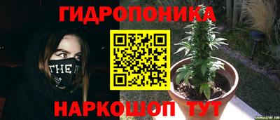 соль ск Тверь