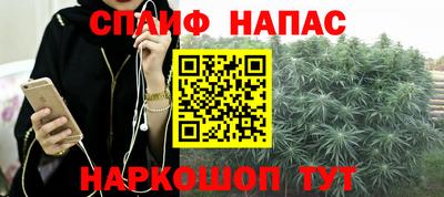 прущие крисы Тара