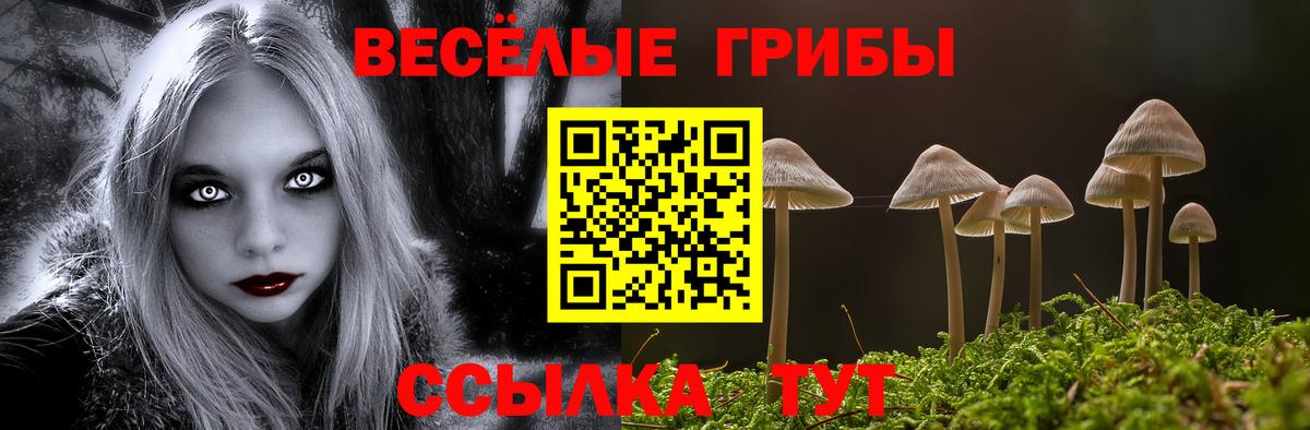 Галлюциногенные грибы GOLDEN TEACHER  Вход с VPN  Нерюнгри 